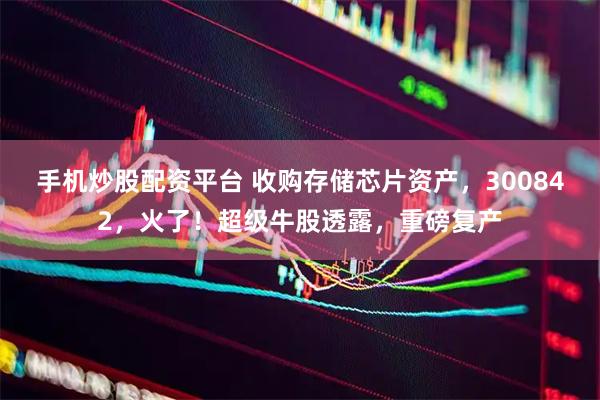 手机炒股配资平台 收购存储芯片资产，300842，火了！超级牛股透露，重磅复产