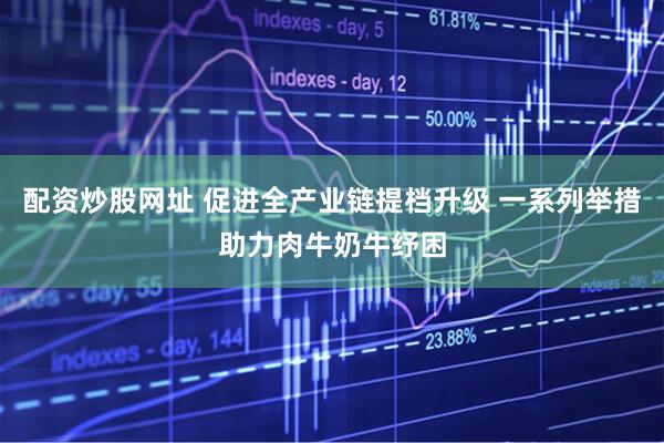 配资炒股网址 促进全产业链提档升级 一系列举措助力肉牛奶牛纾困