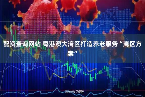 配资查询网站 粤港澳大湾区打造养老服务“湾区方案”