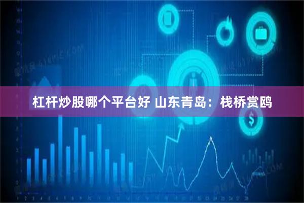 杠杆炒股哪个平台好 山东青岛：栈桥赏鸥