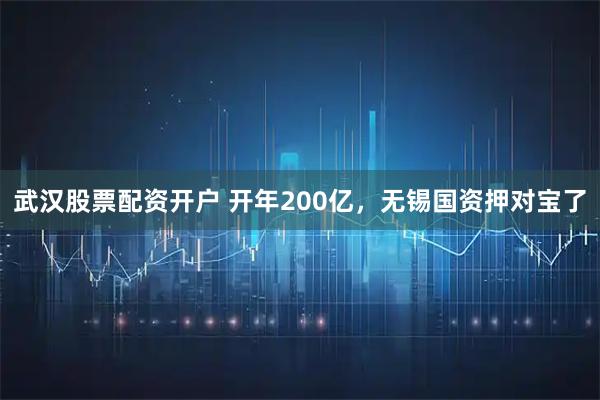 武汉股票配资开户 开年200亿，无锡国资押对宝了